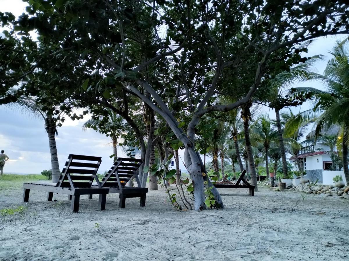 Casa Palma Beach House Brisas de Zicatela Eksteriør billede