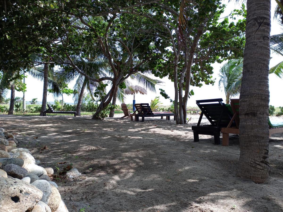 Casa Palma Beach House Brisas de Zicatela Eksteriør billede