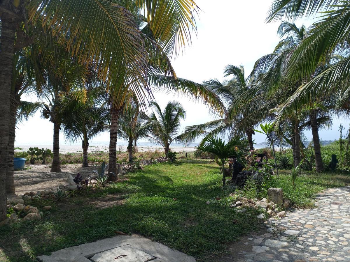 Casa Palma Beach House Brisas de Zicatela Eksteriør billede